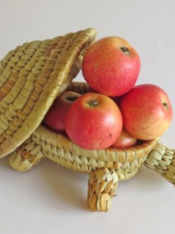 The turtle, which is also a decorative table basket, is another example. Click below to find the basketry turtle in La Maison Afrique FAIR TRADE range.